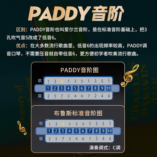 SUZUKI日本铃木进口C20布鲁斯10孔PADDY调音十孔口琴橄榄绿成人学生通用