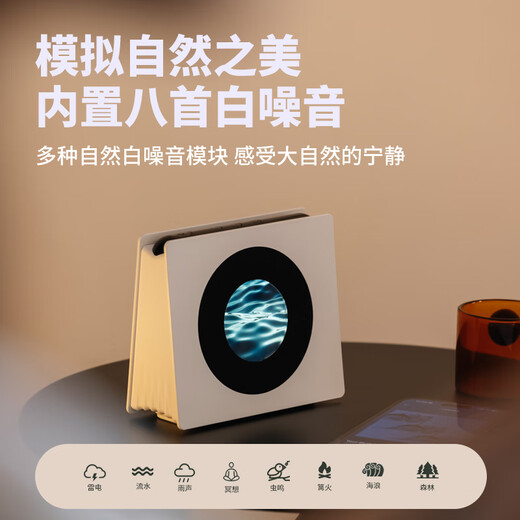 四舍五入属意悬浮歌词蓝牙音箱智能字幕壁画桌面复古音响女生闺蜜男士高级感小众新婚乔迁男生女士生日礼物 典雅白|生日礼物女士精致高级感实用有意义