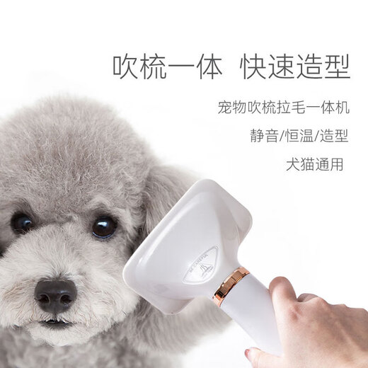 Pet hair dryer, pet grooming comb, dog and cat blowing and pulling, air blowing, combing and drying, blowing and combing one