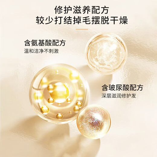 Calus Pet Dog Shower Gel Pet Supplies Bath Shampoo Bichon Frize Special Custom Bath Gel 520ml