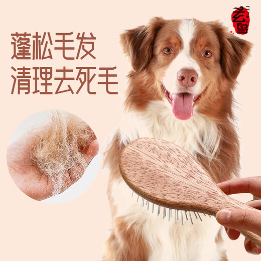 Black Bird pet handle comb cat and dog grooming brush special comb hair protection artifact massage air cushion needle comb cat comb small small/puppy dog
