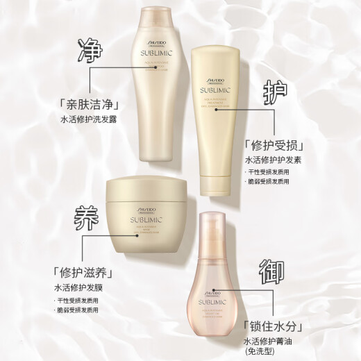 Shiseido Professional Hair Care Core, Perm and Dye Damage Repair, Moisturizing and Glossy Water-Repairing Conditioner (Dry Damaged) 1kg