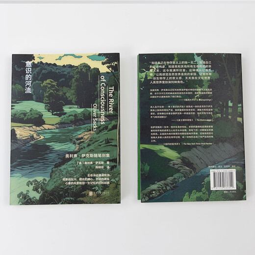 意识的河流 The River of Consciousness