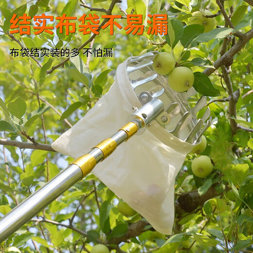 EVANLEY fruit picking artifact telescopic pole picking persimmons, bayberry, plums, apricots, lychees, mango picking tool, high-altitude fruit picking tool, lighter/more stable 10-meter carbon pole set