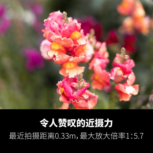 Tamron flagship store A058 35-150mmF2-2.8 full-frame FE mount/Z-mount large aperture Tamron 35-150 lens zoom micro-single lens Tamron 35150 portrait mirror king Sony E-mount official standard package free Blue Ship UV + Tamron 128G card + tripod ring gift pack