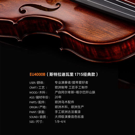 克莉丝蒂娜（Christina）欧洲原装进口小提琴EU4000B考级进阶演奏成人学生乐队乐团乐器 4/4身高155cm以上
