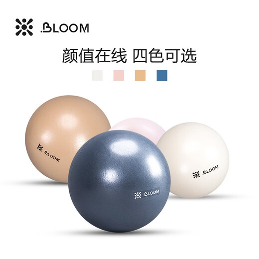 LIVEUP SPORTS Pilates ball thickened explosion-proof yoga ball fitness shaping fitness supplies mini yoga ball 20cm30cm Guiniaolan-30cm