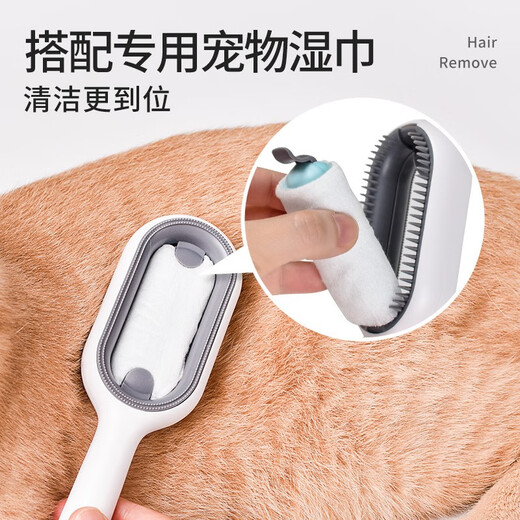 Cat comb gravity water tank cat comb to remove floating hair comb brush cat hair cleaner dog comb brush can stick 200ml no-wash essence
