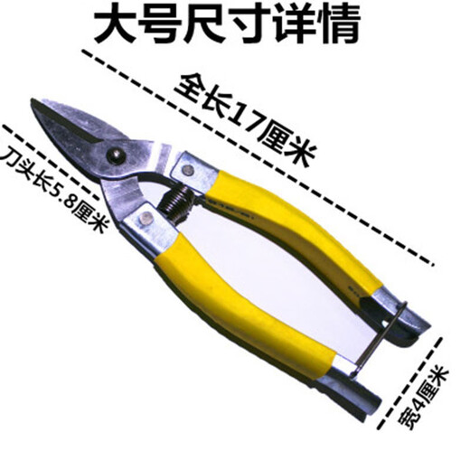 Stainless steel fruit picking scissors, citrus scissors, round head scissors, fruit scissors, citrus scissors, flat head, straight head fruit picking scissors, 3 large stainless steel fruit picking scissors