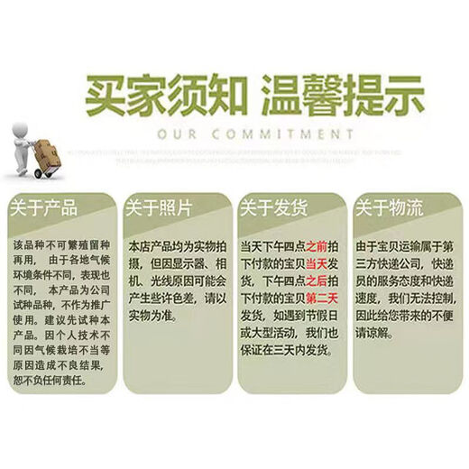 Fengba C929 watermelon seed round melon with thin skin, super sweet, medium and late maturity, high yield and disease resistance base, special for Fengba C929 one can (50g)