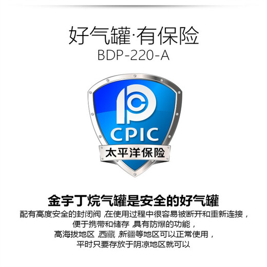 Jinyu (JInyu) Jinyu cassette stove gas tank outdoor camping explosion-proof gas tank liquefied gas bottle butane gas portable 4 Jinyu gas tanks