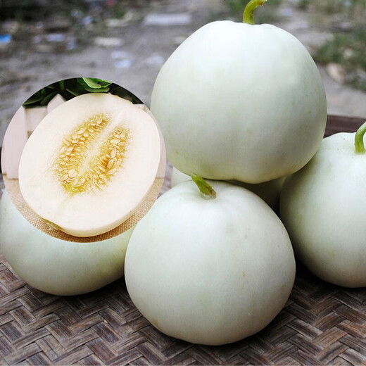Shouhe Balixiang Melon Seeds Collection Super Sweet Snow Milk Melon No. 1 Seeds 20 capsules