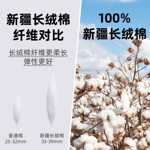 恒源祥短袖白衬衫男纯棉免烫2025夏季新款职业正装高级中年易打理衬衣 短袖M05-6218蓝色 [纯棉液氨免烫 38 [体重100斤-125斤]