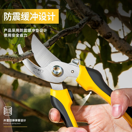 Deli fruit tree scissors, pruning scissors, garden flower scissors, gardening flowers and trees, branch pruning, thick branch pruning shears, labor-saving scissors, 8-inch stainless steel blade, can cut 15mm wet branches, pruning shears