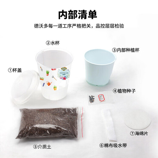Devodo Impatiens Seed DIY Children's Fun Planting Potted Set Plant Observation Cup Children's Day