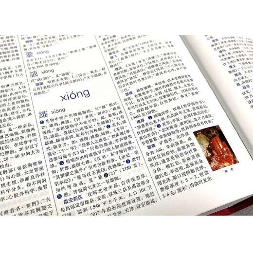 辞海 第七版 彩图本 典藏本 收藏精装版全套8册 第7版 上海辞书出版社