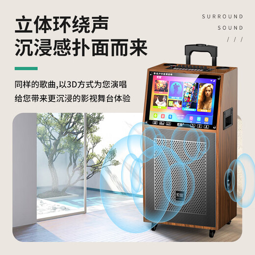 Sony Ericsson (soaiy) SA-K10S square dance display lever video machine outdoor karaoke electric guitar instrument speaker ktv audio karaoke machine
