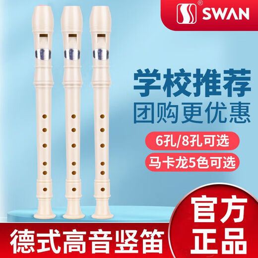 天鹅德式竖笛8孔6孔儿童小学生用入门初学练习成人八六孔笛子乐器 德式 六孔 C调 初学款白色
