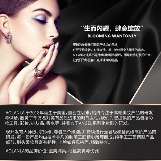 AOLANLA Master Makeup Brush Set 9 Loose Powder Eyeshadow Brushes Beginner Beauty Tools Gift Box Gift for Girlfriend