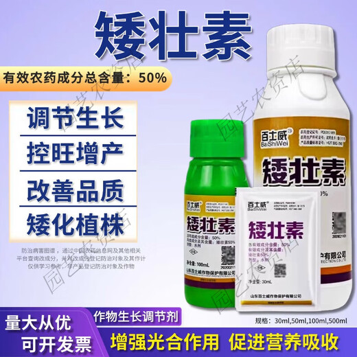 Dwarf dwarf dwarf narcissus flower dwarf dwarf dwarf dwarf dwarf dwarf dwarf dwarf dwarf dwarf dwarf dwarf dwarf dwarf dwarf dwarf dwarf dwarf dwarf dwarf dwarf dwarf dwarf dwarf dwarf dwarf dwarf dwarf dwarf dwarf dwarf dwarf dwarf dwarf dwarf agent 100ml