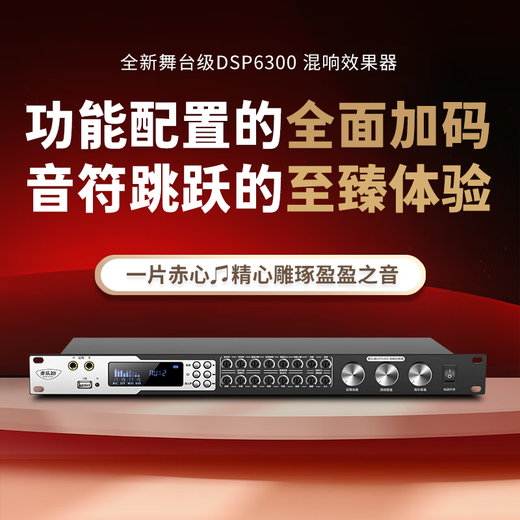 Melody DSP6300 karaoke reverberation digital audio preamp effector home theater anti-howling mixer processor with microphone mixer equalizer DSP6300 professional karaoke effector deluxe version standard version
