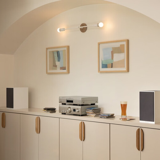 天龙（DENON）DCD-900NE CD机 播放机 家庭影院 音响 音箱 无损音质 天龙功放  USB 蓝牙 推荐搭配PMA-900功放机