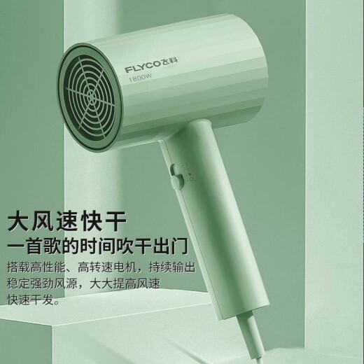 Sècherie de cheveux Flyco Dormitory High Power Hot Power Hot et Cold négatif Contrôle des cheveux Portable Sèche-cheveux à séchage rapide pour les étudiants Sèche-cheveux Hôtel Séchon plus sèche pour le sèche-cheveux Recommandation Cadeau de vacances Feike FH6296 1800W + PEPBAG AIRBAG PEUBLE