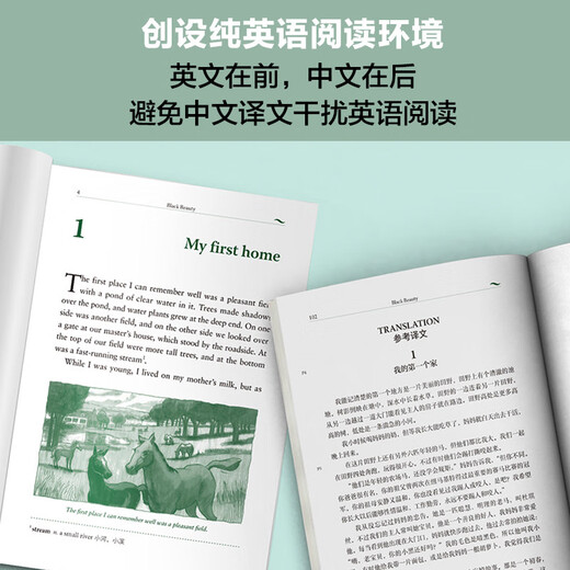 书虫升级版四级全套 高一高二 牛津英汉双语读物（套装共17册 附扫码音频、习题答案、读后测评）格列佛游记 双城记 小妇人 爱玛 红字 金银岛