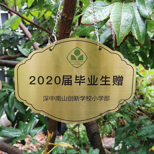 Stainless steel tree sign custom hanging outdoor tree identification QR code plant introduction hanging protection tree sign stainless steel 22 pieces 20*15+1 piece 30*20