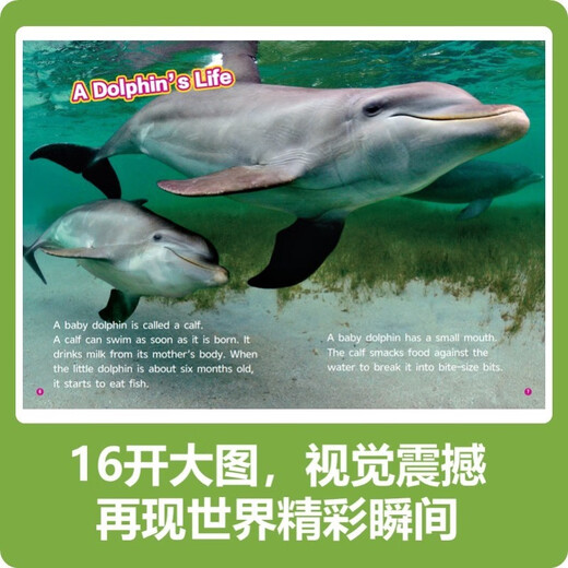 National Geographic English graded readers (Level 3 audio companion reading, 30 volumes in total)