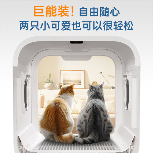 PEISIMA Intelligent Constant Temperature Pet Drying Box for Cats and Dogs Bathing and Drying Artifact British Short Rag Doll Bichon Blowing Water to Prevent Colds New Model Xingyao PRO Extra Large Wind Power Ivory White