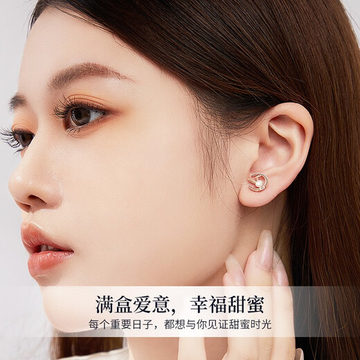 Huaying (HUAYING) light luxury one-week earrings for girls diamond one-week earrings set anniversary birthday gift for girlfriend and wife 7 pairs of diamond earrings * 999 pure silver * double-layer jewelry box