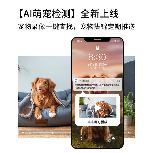 TP-LINK 4 million surveillance camera home monitor 360 degrees no blind spots with night vision panoramic wireless home indoor mobile phone remote baby monitor