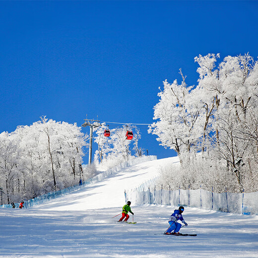 Snow season pre-sale Changbaishan Wanda Jinhua Resort Hotel 2 days and 1 night snow season smooth hot spring package 1.20-1.22,1.24-1.31 Superior room (king bed) 2 large and 1 small privileges