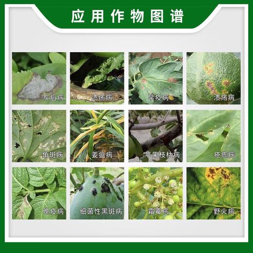 Corteva DuPont can kill 3,000 copper hydroxide anthrax ulcer bacterial angular spot pesticide fungicide 500g