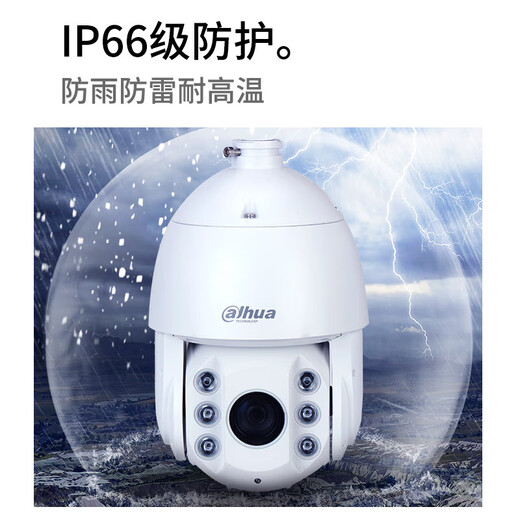 
dahua Dahua 6-inch network ball machine 2 million high-definition smart high-speed ball machine outdoor waterproof 150 meters starlight infrared surveillance outdoor camera 23x zoom DH-SD6223-D2-i standard configuration