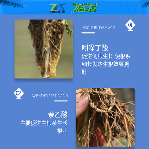 Senhuo Kuaisheng and indolinacetic acid rooting powder garden lawn nursery transplanting cutting root agent growth regulator
