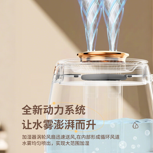 Capeden USB humidifier bedroom light sound baby office desktop large capacity intelligent humidification dual nozzles large mist volume humidification and purification white nano atomization