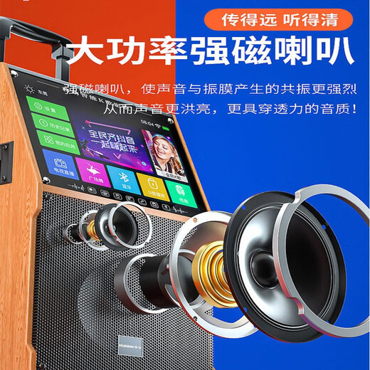 Jinzheng square dance audio with display screen outdoor audio karaoke all-in-one trolley speaker mobile Bluetooth home KTV audio karaoke machine large volume 21# Bluetooth wooden trolley flagship version (no microphone standard without U disk without bracket