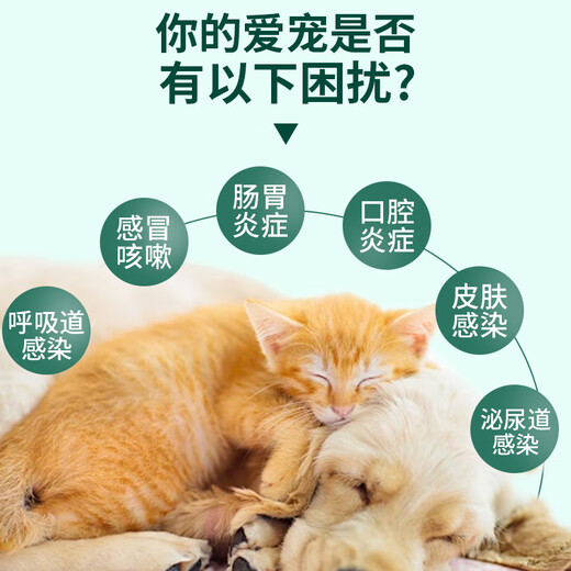 Kelu Oral Spray Cat Stomatitis Compound Lysostaphin Pet Bad Breath Oral Ulcer Spray Mouthwash 30ml Kelu Oral Cat + Amoxicillin 50mg