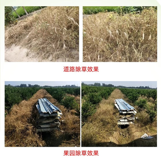 95% glyphosate herbicide orchard wasteland cow tendon grass setaria reed removal of rotten roots and dead root pesticide 95% high content glyphosate, removal of weeds and roots 80g 1 set