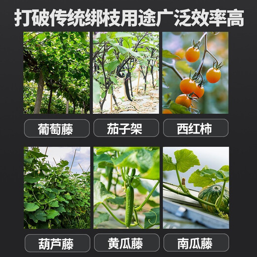坤匠 新款合金钢绑枝机葡萄番茄西红柿绑蔓器绑枝神器自动胶带枪农用 【不卡针】合金钢绑枝机+20卷加厚胶带+1万钉