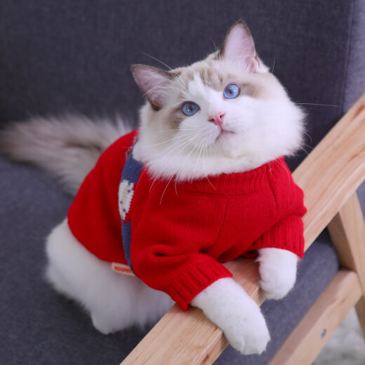 Huayuan Pet Equipment (hoopet) Huayuan Pet Equipment Cat Clothes Winter Warm Blue Cat Ragdoll Dog Cat Anti-shedding Kitten Red Jacquard Sweater [Size is too large] 40cm [5-7 Jin recommended [Jin equals 0.5 kg]] Model, shoot