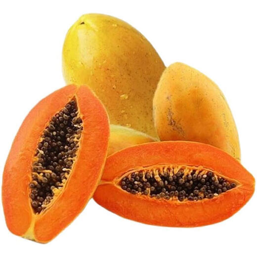 Papaya seeds Hainan Red Heart Papaya Rock Sugar Papaya Papaya Seeds Balcony Courtyard Potted Vegetables and Fruits for Four Seasons Sowing 5 Papaya Seeds