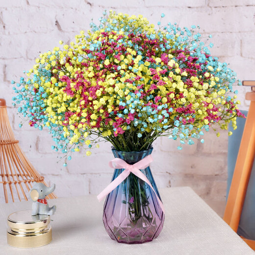 AIMAN Gypsophila Natural Dried Flower Bouquet Ins Internet Celebrity Birthday New House Decorative Ornaments Air-Dried Real Flower Arrangements Home Furnishings Purple + White + Sapphire Blue Gypsophila Without Vase