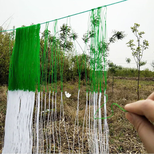 Qinkai Cucumber, Bitter Melon, Luffa, Hanging Melon, Bean, Passion Fruit and Yam Net, Plant Climbing Net, Climbing Planting Agricultural Net, 8*100 meters, 12 holes, 30 passion fruit