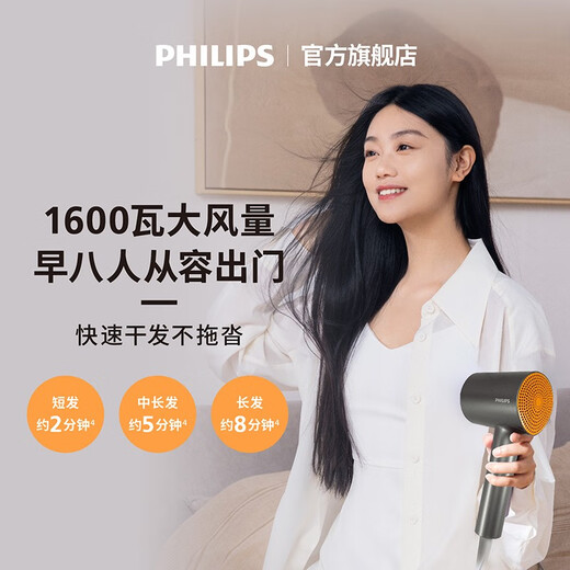 Philips Hair Dryer Household High Power Hair Dryer Negative Ion Hair Care Birthday Gift for Girlfriend or Boyfriend Couple Birthday Gift Official Flagship Store Gift Black Gold Tube BHD321/05