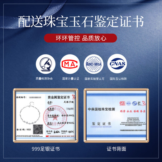 The only (Winy) 999 sterling silver bracelet for women, birthday gift for women, crystal jewelry for girlfriend and wife, luxury high-end silver jewelry