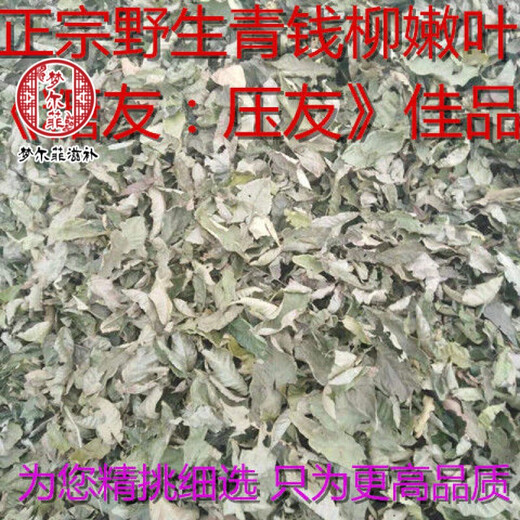 伊梵麦青钱柳江西修水青钱柳茶原叶古树清金钱柳茶嫩叶养生茶 1000克(共4袋)
