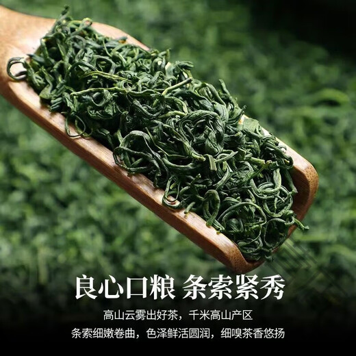 Kufa Guizhou Green Tea 2024 New Tea Strong Flavor Authentic Bagged Alpine Yunwu Tea First-Class Loose Tea New Tea Factory Direct Sales Guizhou Green Tea Light Flavor 251g